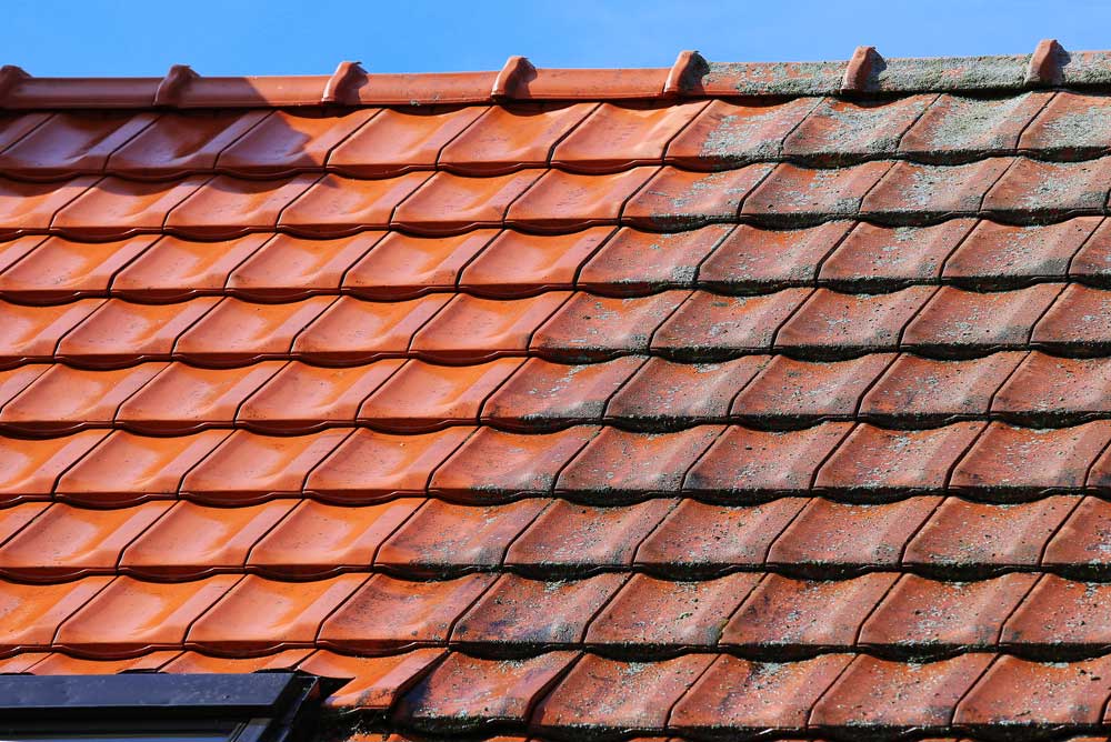 Dirty Roof